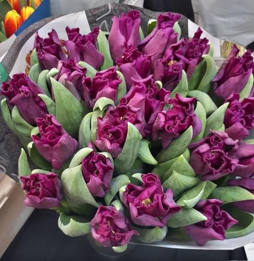 Crown of Negrita1636454410